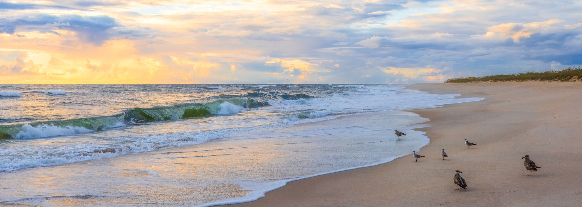 Birds on the beach in Vero Beach, Florida